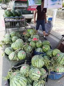 漳州网红吃瓜事件视频,揭秘网络舆论的风暴中心